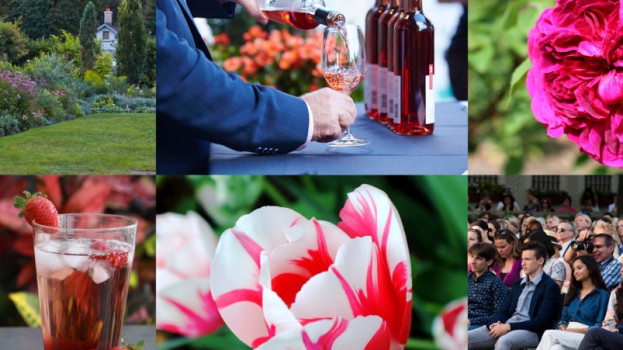 Toronto Life Sets Sights On Membership Program Media In Canada